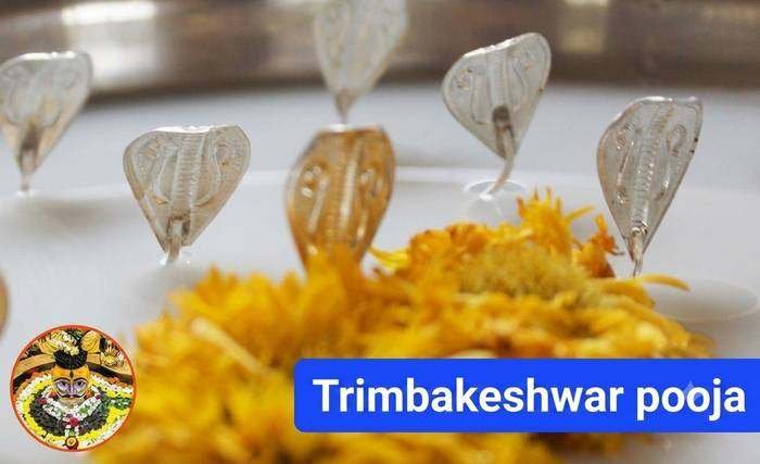 Narayan Nagbali Puja - Trimbakeshwar